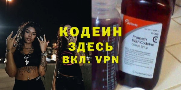 прущая мука Вяземский