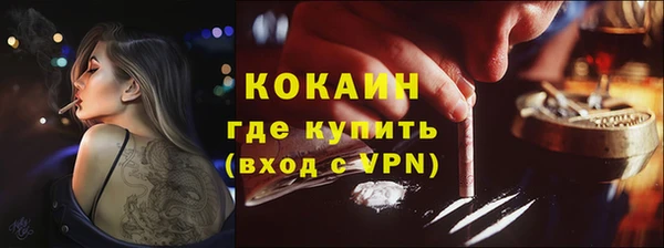 прущая мука Вяземский