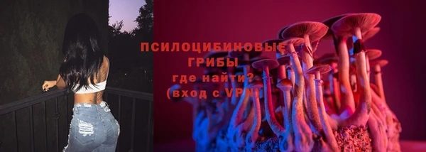 марки lsd Горняк