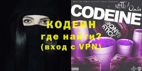 прущая мука Вяземский