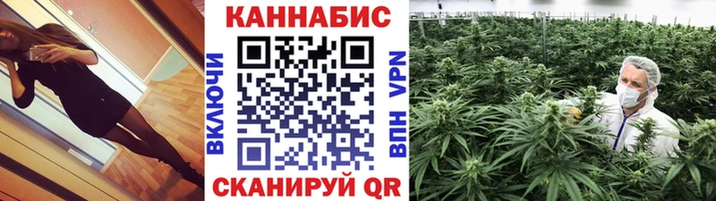 Канабис сатива Ершов